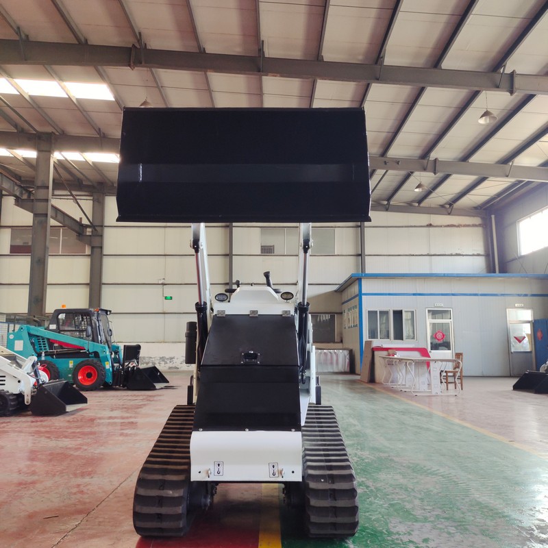 Track Skidsteer Loader