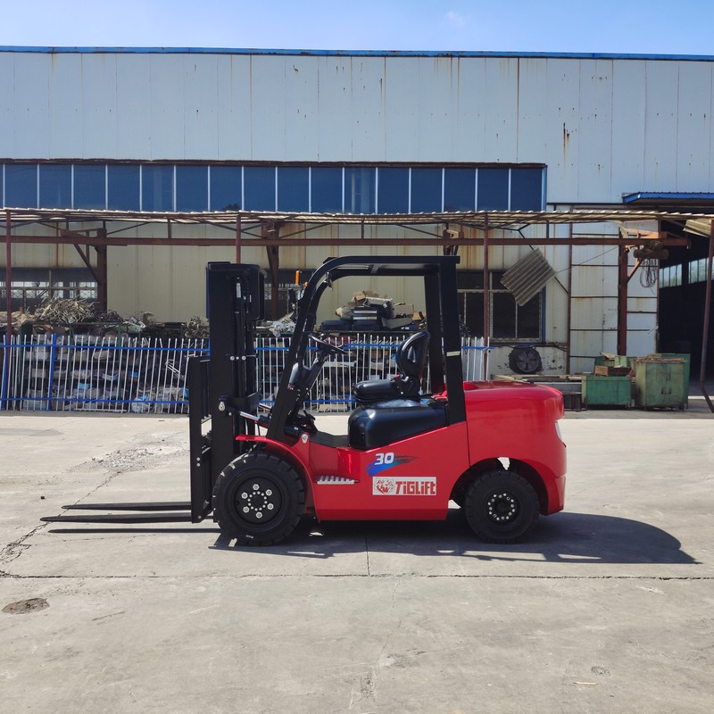 3 Ton Electric Forklift