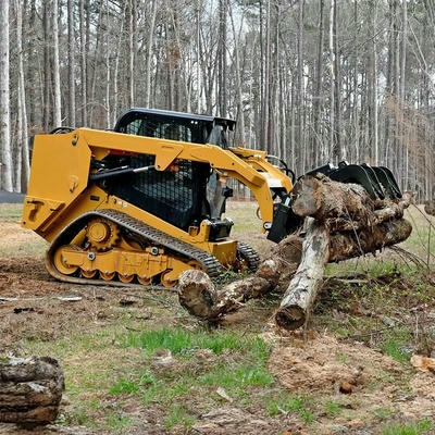 Skid Steer Loaders in Forestry